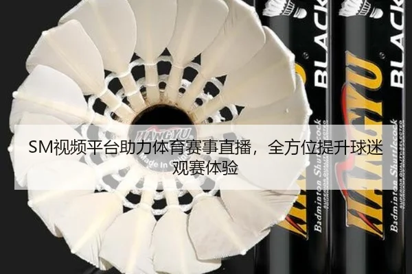 SM视频平台助力体育赛事直播,全方位提升球迷观赛体验